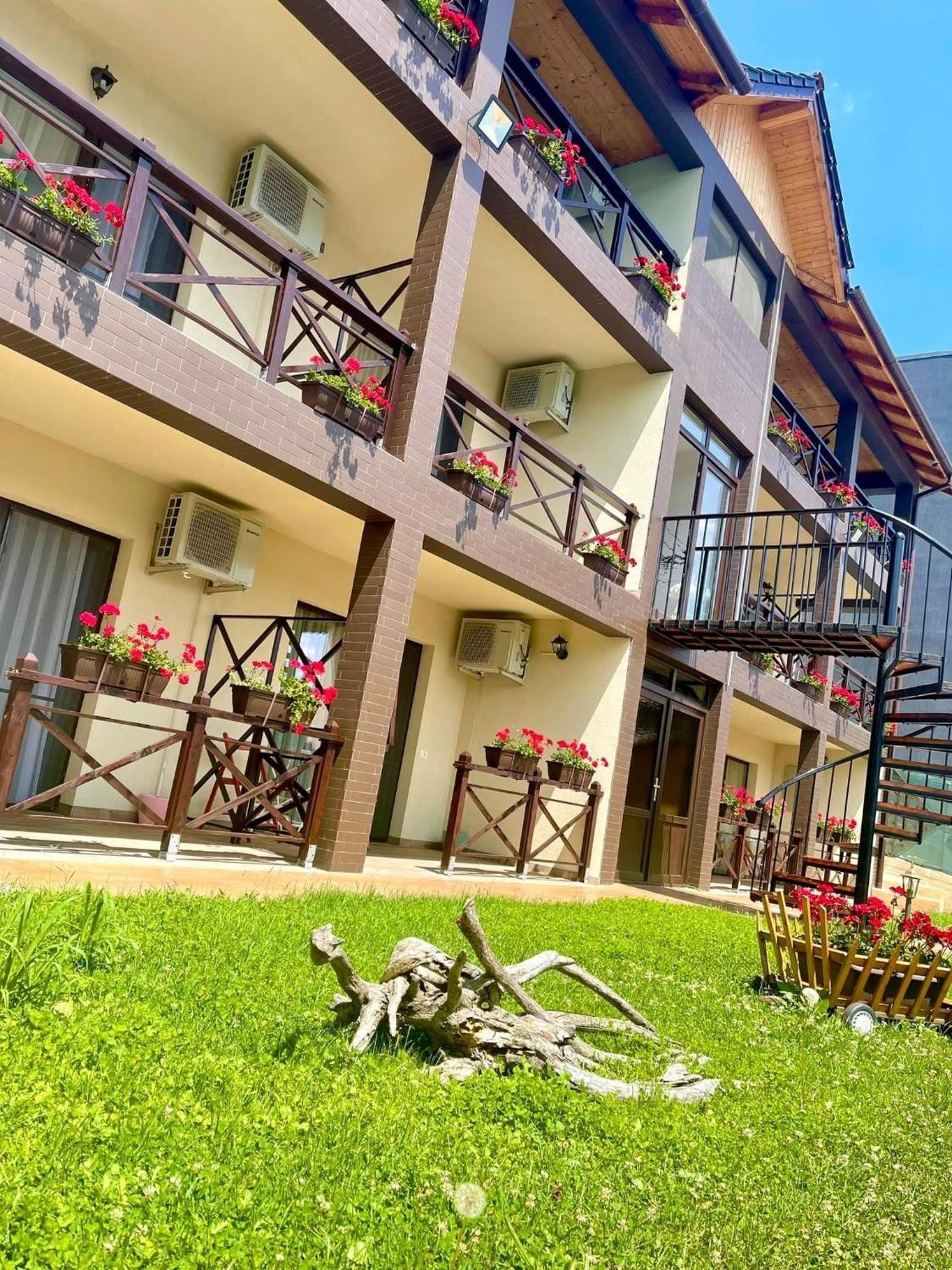 Hotel Mustaciosul Dunarii Ieşelniţa Exteriér fotografie